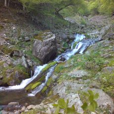 150523_p14.jpg