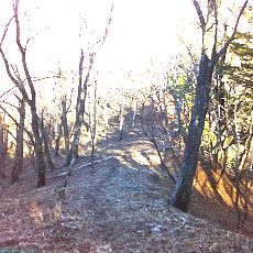 160419_n02.jpg