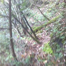 160903_p09.jpg