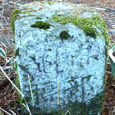 180422_p11.jpg