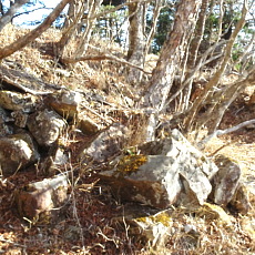 180422_p18.jpg