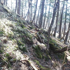 180428_p31.jpg