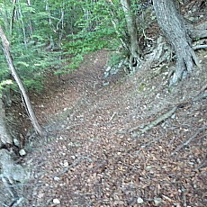 190922_p03.jpg