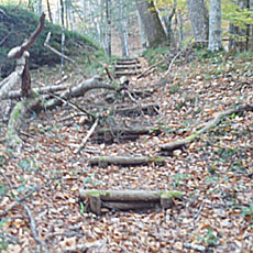191104_p40.jpg