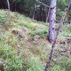 201004_p16.jpg