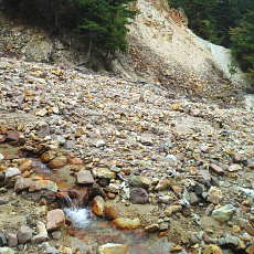 201004_p38.jpg