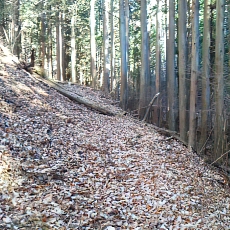 201206_p40.jpg