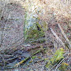 201220_p21.jpg