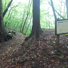 210522_p05.jpg