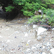 210916_p13.jpg