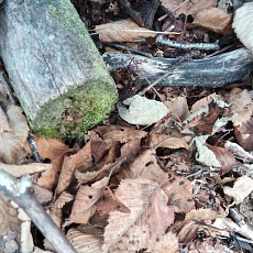 221028_p35.jpg
