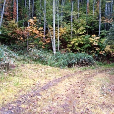 221014_p10.jpg
