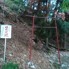 220528_p66.jpg