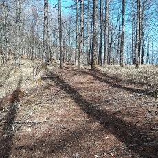 230414_p19.jpg