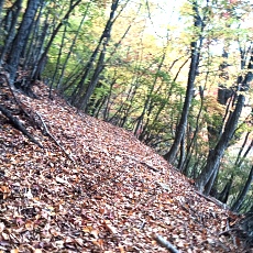 231030_p06.jpg