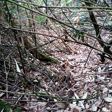 241022_p11.jpg