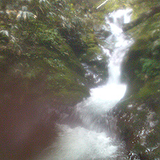 110715_p03.jpg