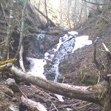120429_p09.jpg