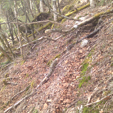 120430_p05.jpg