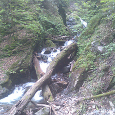 120623_p05.jpg