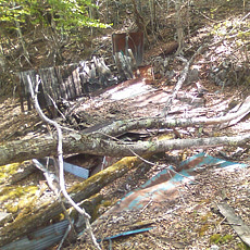 130517_p18.jpg