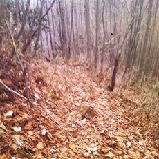 140419_p17.jpg