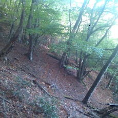 141011_p08.jpg