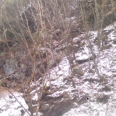 141210_p14.jpg