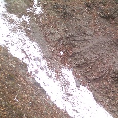150314_p07.jpg