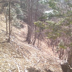 150330_p17.jpg
