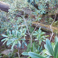 161015_p17.jpg