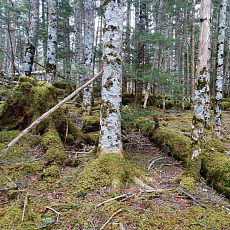170429_p25.jpg