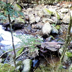 170903_p05.jpg
