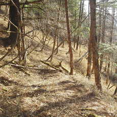 180422_p08.jpg