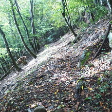 181006_p01.jpg