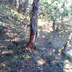 190505_p05.jpg