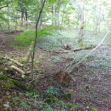 190922_p01.jpg