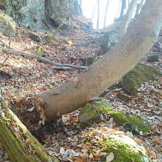 201206_p19.jpg