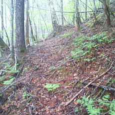 210522_p38.jpg