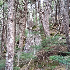 220618_p23.jpg