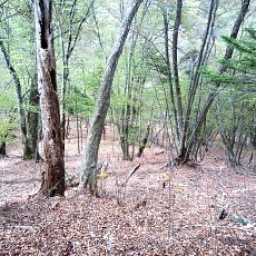 230502_p20.jpg