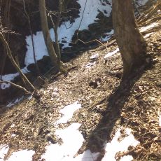 160320_p12.jpg
