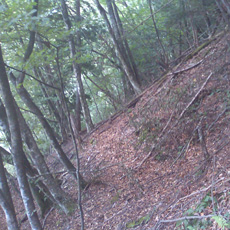 120916_p05.jpg