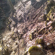 130428_p06.jpg