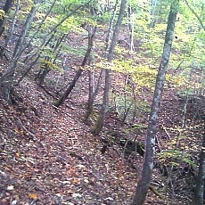 141020_p14.jpg