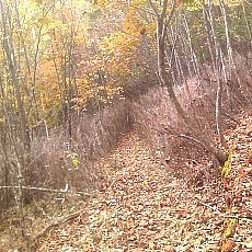 141020_p21.jpg