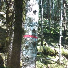 150628_p10.jpg