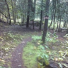150704_p17.jpg
