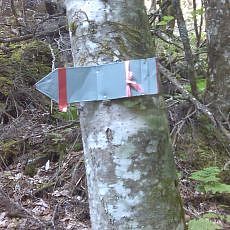 160603_p16.jpg