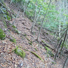 161010_p11.jpg